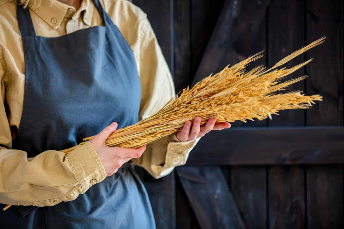 waarom gluten en granen een trigger kunnen zijn bij colitis ulcerosa en de ziekte van crohn